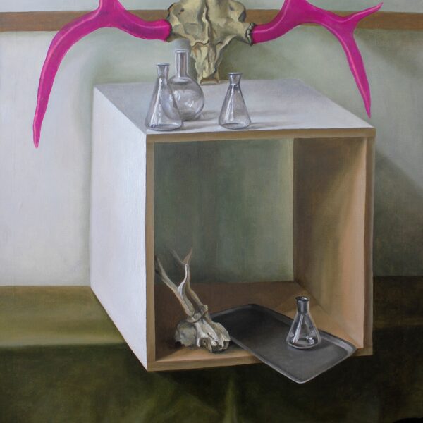 DĀRTA LOTE BĒRZIŅA
“KLUSĀ DABA AR ROZĀ RAGIEM”
audekls/eļļa
2014
80 cm x 60 cm - 400 e