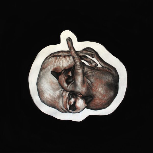 DĀRTA LOTE BĒRZIŅA
“SNAUDOŠIE KAĶI”
papīrs/zīmulis/tuša
2016
64 cm x 64 cm - 450 eur