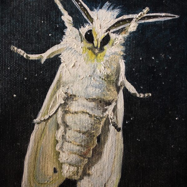DĀRTA LOTE BĒRZIŅA
“MOTH”
audekls/eļļa
2018
20 cm x 15 cm - 60 eur