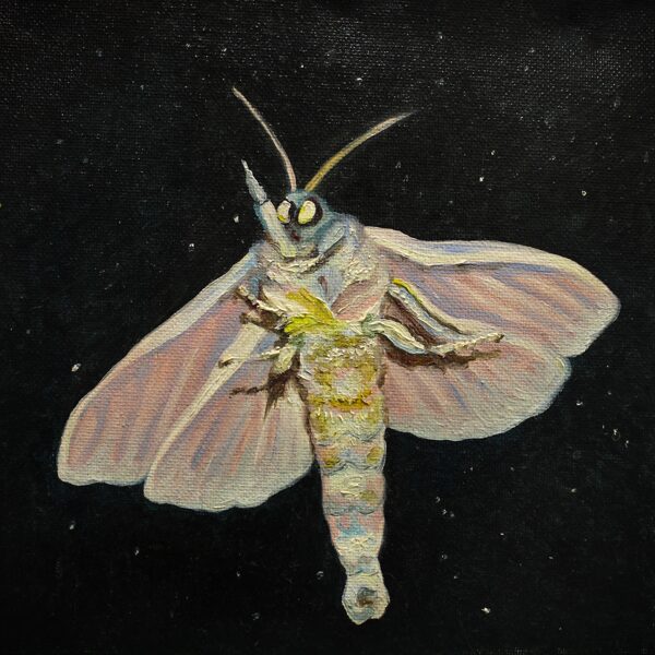 DĀRTA LOTE BĒRZIŅA
“MOTH”
audekls/eļļa
2018
20 cm x 20 cm - 45 eur