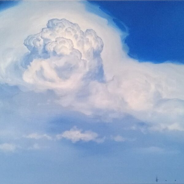 Pāvels Hafizovs -AIR 262 -eļļa un akrils uz audekla 50x70 cm - 650,-EUR