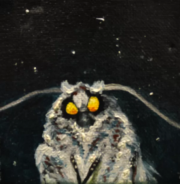 DĀRTA LOTE BĒRZIŅA
“MOTH”
audekls/eļļa
2018
10 cm x 10 cm - 40 eur