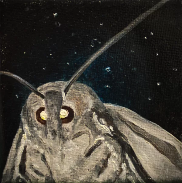 DĀRTA LOTE BĒRZIŅA
“MOTH”
audekls/eļļa
2018
10 cm x 10 cm - 40 eur