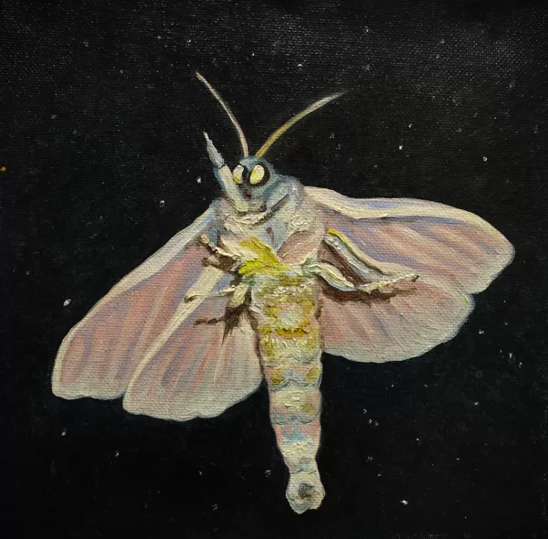 DĀRTA LOTE BĒRZIŅA
“MOTH”
audekls/eļļa
2018
20 cm x 20 cm - 45 eur
