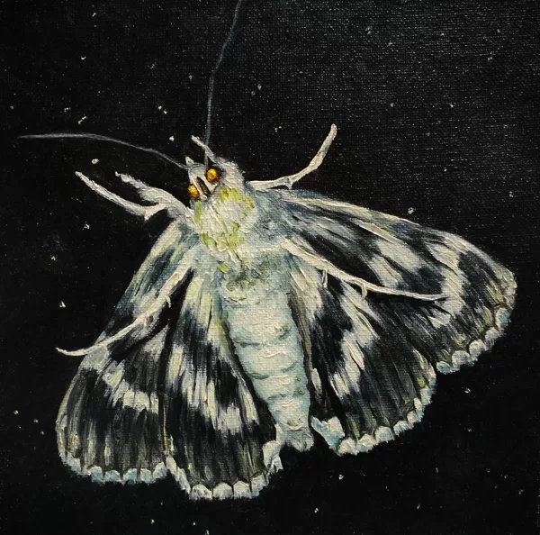 DĀRTA LOTE BĒRZIŅA
“MOTH”
audekls/eļļa
2018
20 cm x 20 cm - 60 eur